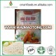 Wholesales Japanese Panko Bread Crumbs